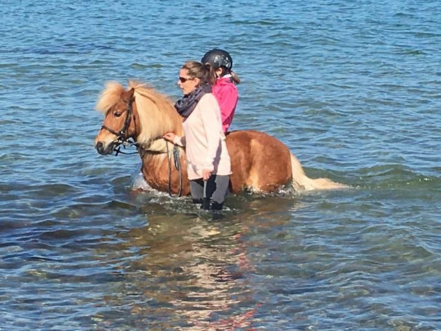 Ferienhaus in Fehmarn OT Staberdorf - Reetdachhaus 5, inkl. 2 Parkpl&auml;tze - Bild 21
