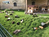 Ferienhaus in Fehmarn OT Staberdorf - Reetdachhaus 6, inkl. 2 Parkplätze - Bild 22