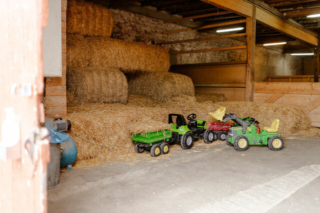 Ferienhaus in Fehmarn OT Staberdorf - Am Hof 3 - Bild 22
