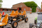 Ferienwohnung in Fehmarn OT Staberdorf - Pferdewiese - Bild 19