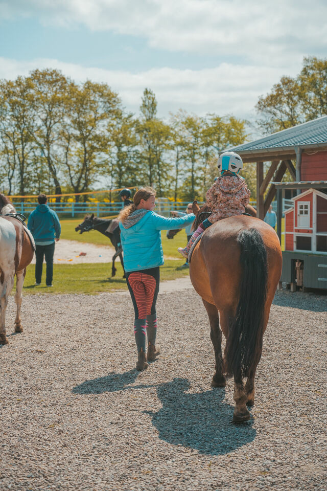 Ferienwohnung in Fehmarn OT Westermarkelsdorf - Levanto - Bild 17