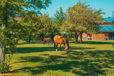 Ferienwohnung in Fehmarn OT Westermarkelsdorf - Levanto - Bild 21