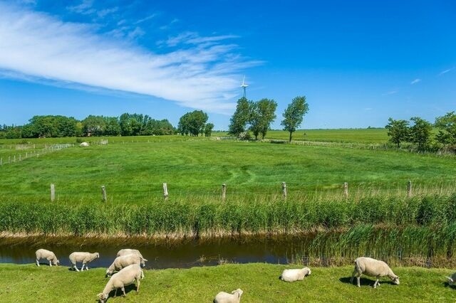 Ferienwohnung in Fehmarn OT Orth - Ferienwohnung Hafenmeisterei - Bild 17