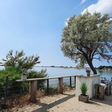 Ferienwohnung in Fehmarn OT Lemkenhafen - FeWo am Dorfteich - Bild 15