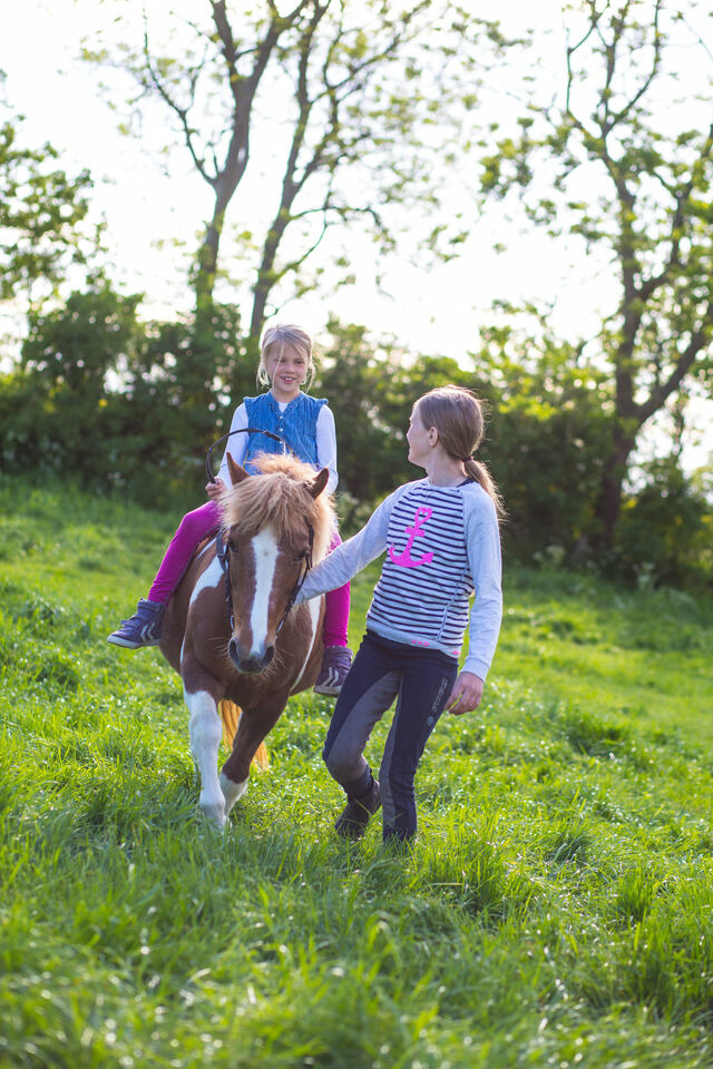 Ferienwohnung in Fehmarn OT Wenkendorf - Ferienhof Marquardt Fewo Gartenblick - Bild 15