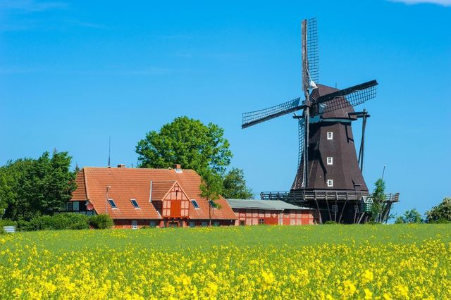 Ferienwohnung in Fehmarn OT Lemkenhafen - Morgenröte - Bild 11