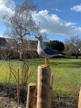 Ferienwohnung in Gr&ouml;mitz - Hamburger Str. 8 J - Wohnung "Fiete" - Bild 17