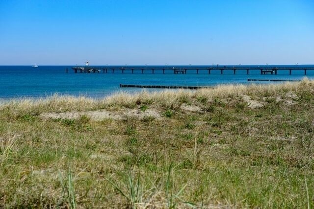 Ferienwohnung in Graal-M&uuml;ritz - Flieder - Bild 17