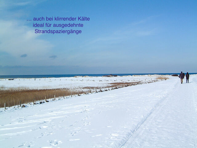 Ferienwohnung in Wendtorf - Ap. Lachmöwe - Haus Nordlichter - Bild 24 Ferienwohnung in Wendtorf - Ap. Lachmöwe - Haus Nordlichter - Bild 24