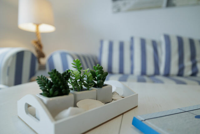 Ferienwohnung in Ostseeheilbad Zingst - Boddenkieker 12 - Bild 12