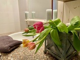 Ferienwohnung in Zingst - Ferienwohnung 03 - Bild 16