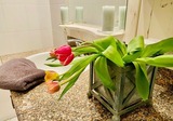 Ferienwohnung in Zingst - Ferienwohnung 03 - Bild 19