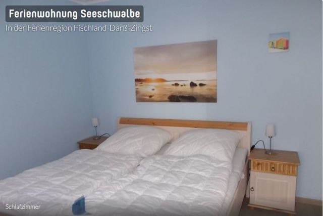 Ferienwohnung in Dierhagen - Seeschwalbe App. 34 - Bild 10