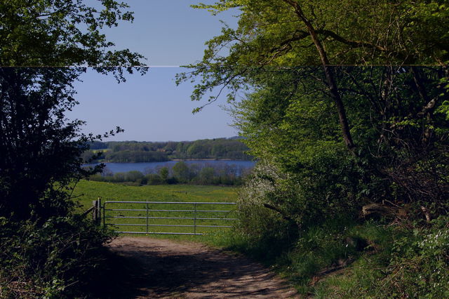 Ferienwohnung in Klein Wittensee - Witt am See - Bild 19