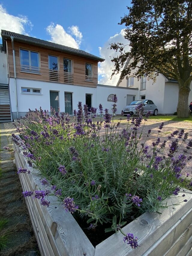 Ferienwohnung in Ostseebad Nienhagen - Seeblick 1a OG - Bild 21