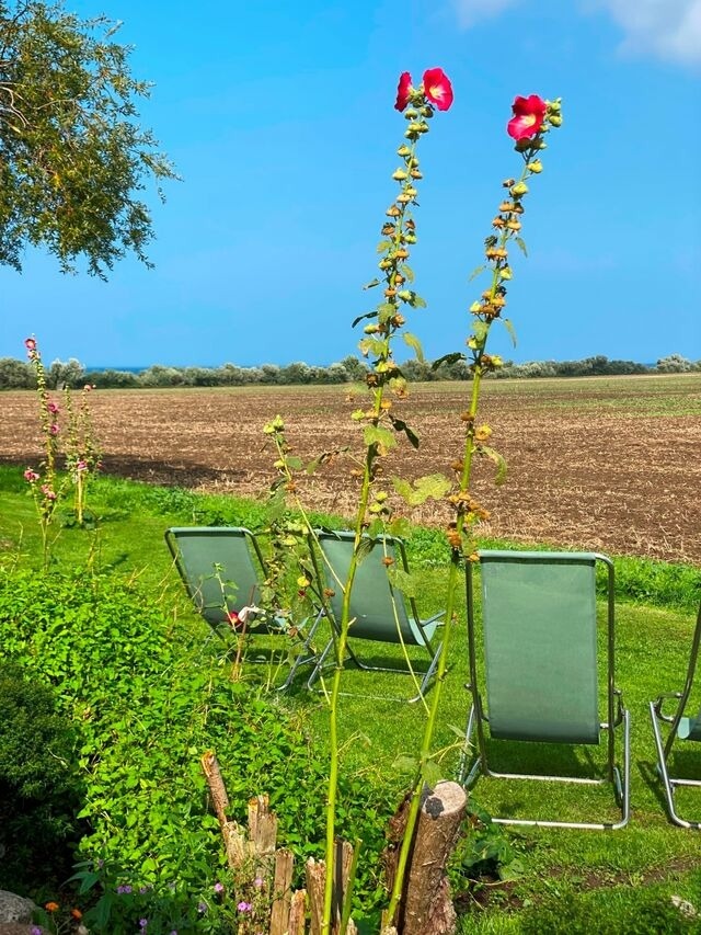 Ferienwohnung in Ostseebad Nienhagen - Seeblick 1a OG - Bild 22