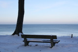 Ferienwohnung in Ostseebad Nienhagen - Ferienwohnung Poschmann - Bank mit Blick aufs Meer