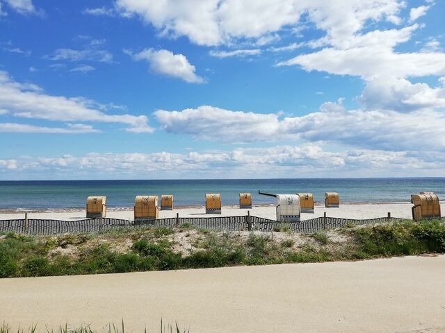 Ferienwohnung in Riepsdorf - Urlaub mit Hund - Sp&auml;tsommer an der Ostsee genie&szlig;en - Bild 16