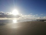 Ferienwohnung in Riepsdorf - Urlaub mit Hund - Sp&auml;tsommer an der Ostsee genie&szlig;en - Bild 17