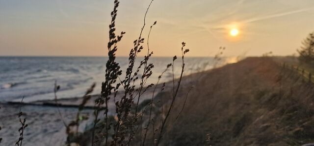 Ferienwohnung in Riepsdorf - Urlaub mit Hund - Sp&auml;tsommer an der Ostsee genie&szlig;en - Bild 23