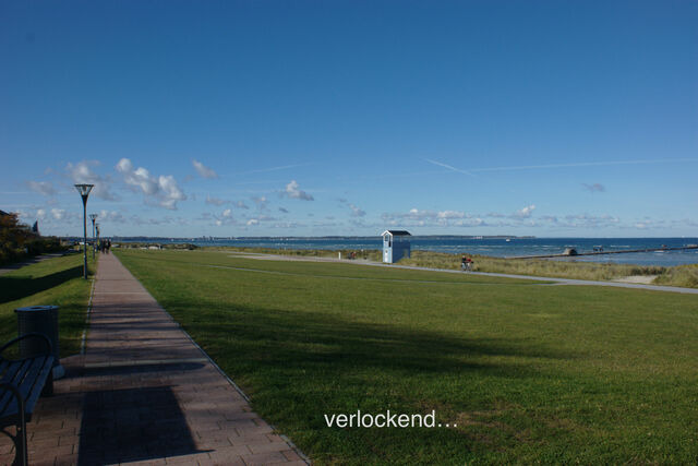 Ferienwohnung in Wendtorf - Whg. Haubentaucher - Haus Nordlichter - Bild 12 Ferienwohnung in Wendtorf - Whg. Haubentaucher - Haus Nordlichter - Bild 12