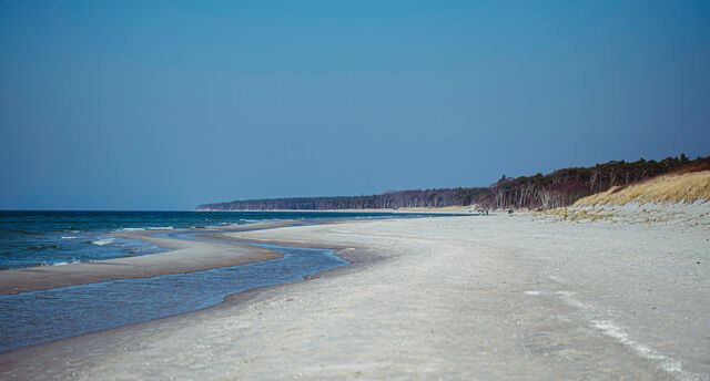 Ferienwohnung in Ahrenshoop - Strandnixe 1 - Bild 8