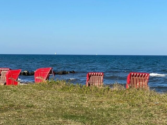 Ferienwohnung in Brodersby - Ferien am Strand- Urlaub an der Ostsee Ferienwohnung am Strand in der Nähe der Schlei / Umgebung von Kappeln & Damp - Bild 16