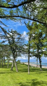 Ferienwohnung in Brodersby - Ferien am Strand- Urlaub an der Ostsee Ferienwohnung am Strand in der Nähe der Schlei / Umgebung von Kappeln & Damp - Bild 17