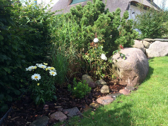 Ferienhaus in Zinnowitz - Binsenkate - Zinnowitz - Bild 17 Ferienhaus in Zinnowitz - Binsenkate - Zinnowitz - Bild 17