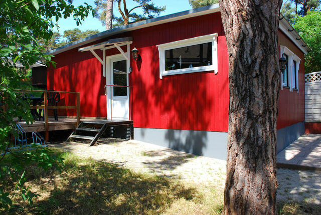 Bungalow in Baabe - Strandhaus des Meeres 2 - Baabe - Bild 9