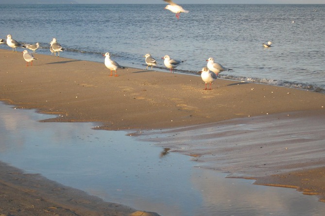 Ferienwohnung in Baabe - Ferienwohnung Meerblick - Strand Baabe