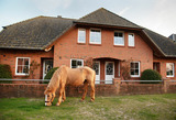 Ferienwohnung in Fehmarn OT Neujellingsdorf - Bauernhof Höper-Rauert - Reihenhaus 5 - Bild 17