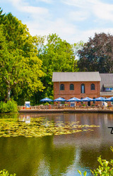 Ferienwohnung in Pönitz am See - Landhaus am See - mit Strandkorb an der Ostsee - Bild 24