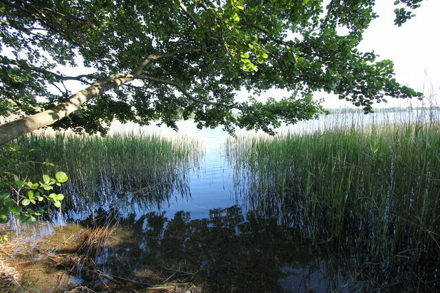 Ferienwohnung in Pönitz am See - Landhaus am See - mit Strandkorb an der Ostsee - Bild 25