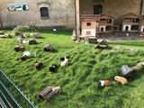 Ferienwohnung in Fehmarn OT Staberdorf - Tenne 2 - Bild 21