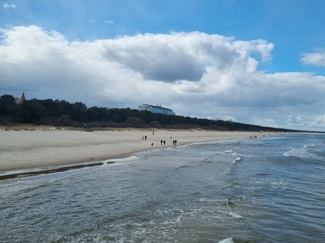 Ferienhaus in Lütow - Ferienhaus Köhler Am Achterwasser , Urlaub mit Hund - Bild 20 Ferienhaus in Lütow - Ferienhaus Köhler Am Achterwasser , Urlaub mit Hund - Bild 20
