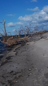 Ferienhaus in Lütow - Ferienhaus Köhler Am Achterwasser , Urlaub mit Hund - Bild 23 Ferienhaus in Lütow - Ferienhaus Köhler Am Achterwasser , Urlaub mit Hund - Bild 23