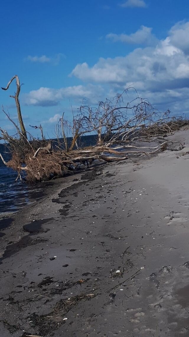 Ferienhaus in Lütow - Ferienhaus Köhler Am Achterwasser , Urlaub mit Hund - Bild 23 Ferienhaus in Lütow - Ferienhaus Köhler Am Achterwasser , Urlaub mit Hund - Bild 23