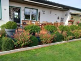 Bungalow in Hohenkirchen - direkt am Wasser ""Küstenperle"mit Meerblick und Sauna - Bild 3