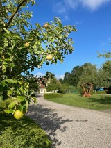 Ferienwohnung in Fehmarn OT Wulfen - Ruth Sonnenhut - Bild 24 Ferienwohnung in Fehmarn OT Wulfen - Ruth Sonnenhut - Bild 24