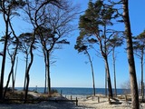 Ferienwohnung in Dierhagen - Ferienwohnung Strandkoje - Bild 23