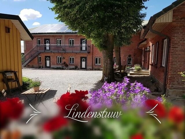 Ferienwohnung in Mittelangeln - Lindenstuuv - Bild 2