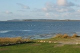 Ferienwohnung in Schaprode - Appartement für 2 Personen in Schaprode auf der Insel Rügen Zi2 - Bild 10