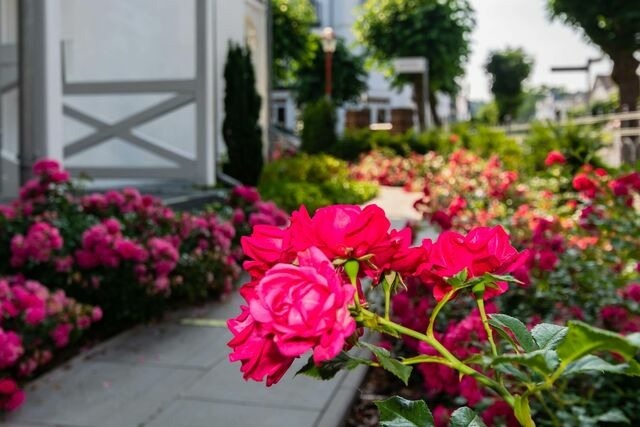 Ferienwohnung in Binz - Villa Iduna / Ferienwohnung No. 6 - 1. OG mit Balkon nach S&uuml;den - Bild 21