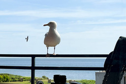 FEWO Ferienresidenz Staberdorf Haus 76 Wohnung Nr 26