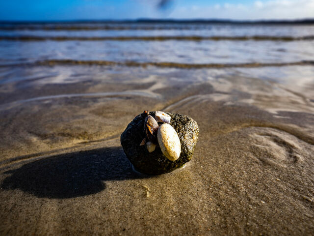 Ferienwohnung in Gl&uuml;cksburg - Ferienwohnung Am Leuchtturm - Bild 19