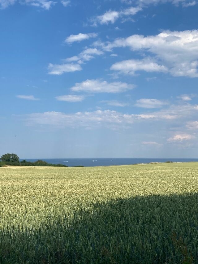 Ferienwohnung in Kalkhorst - Yagos Ostseeoase - Bild 24