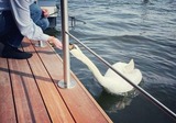 Ferienhaus in L&uuml;beck - AURORA - Bild 15
