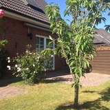 Ferienwohnung in Heikendorf - Ferienwohnung Feldblick - Terrasse Wohnzimmer