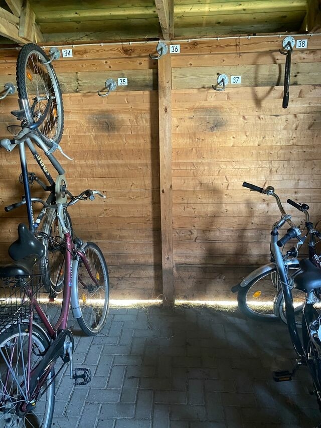 Ferienwohnung in Ostseeheilbad Zingst - Fewo Kranich 36 - Bild 21